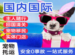 普陀山航空托运国际宠物托运 【国